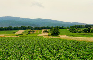 Bauland in Gremmendorf mit Potential für 200 Wohnungen