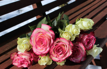 20-Jähriger mit Blumenstrauß und Flasche attackiert