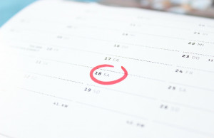 Online-Entsorgungskalender kommt an