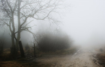Widerstandsfähig gegen Hitze, Sturm und Starkregen